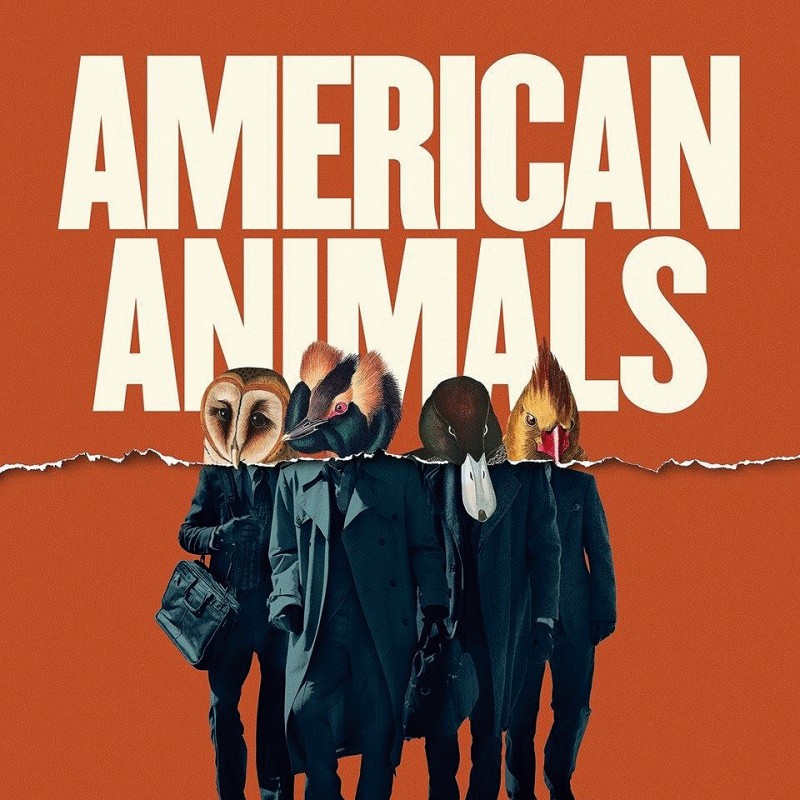 American animals