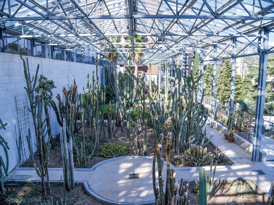 Le Centre Botanique ouvre ses portes au public